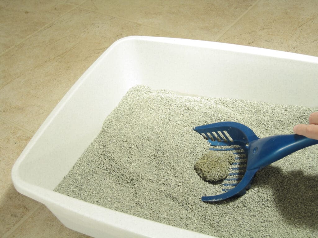 Litière Litter box