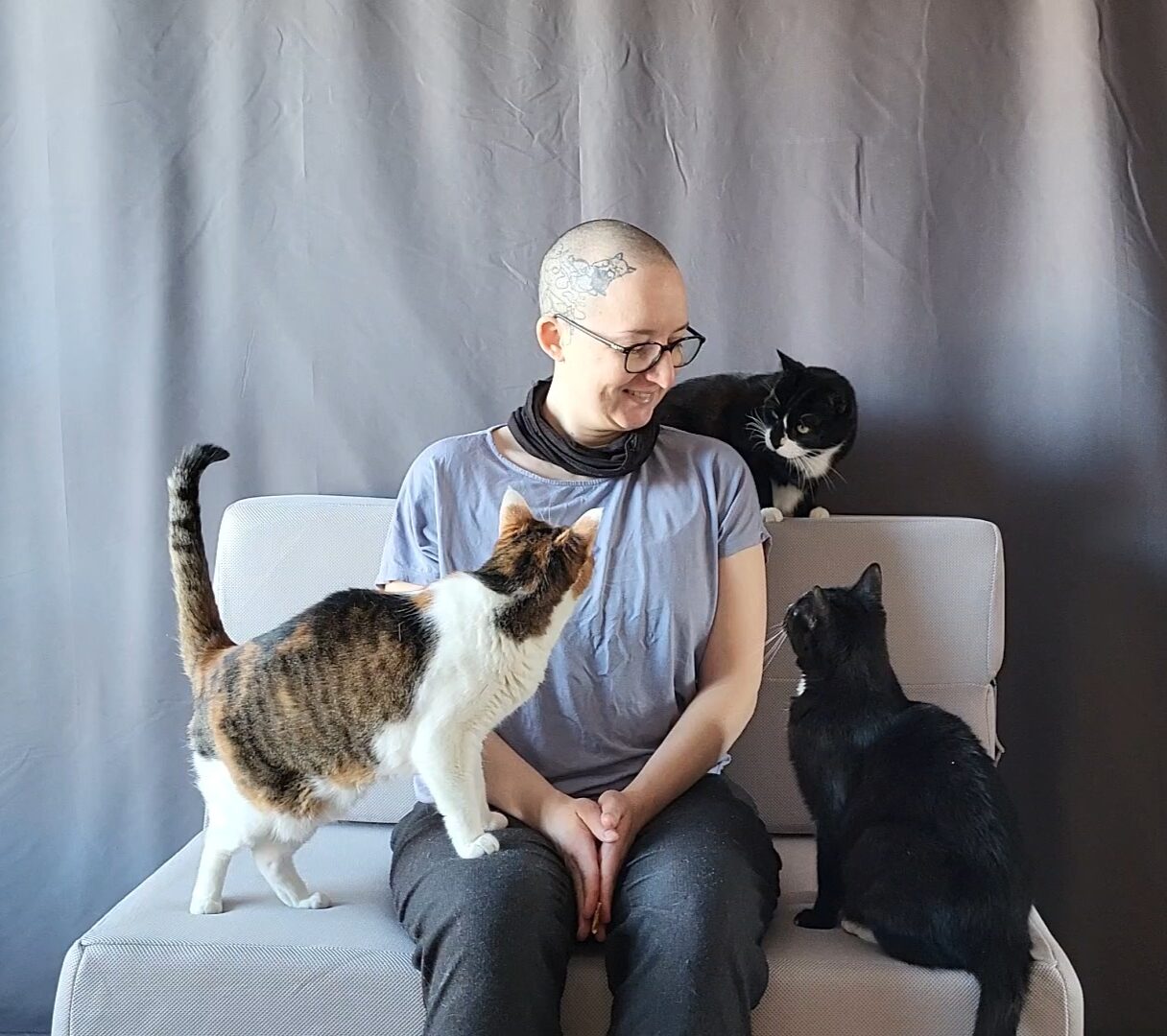 Comment choisir un consultant en comportement félin ?