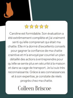 Témoignages (6)