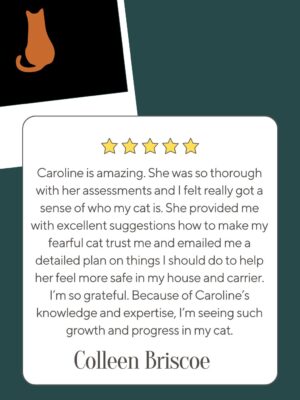 Testimonials (6)